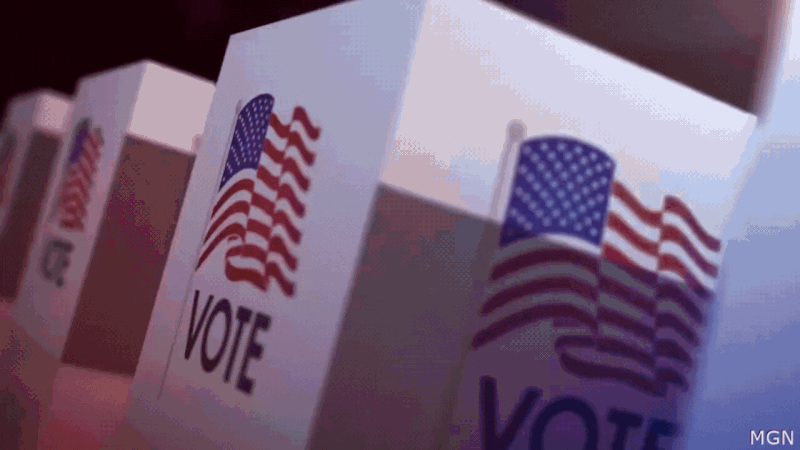 Residents in Louisiana will head to the polls Saturday, April 29 to cast their votes.