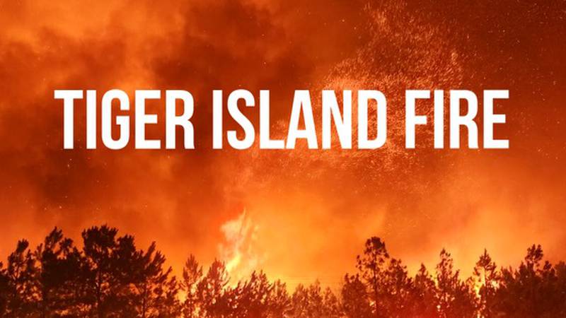 Tiger Island Fire blazes in Beauregard Parish in August 2023.