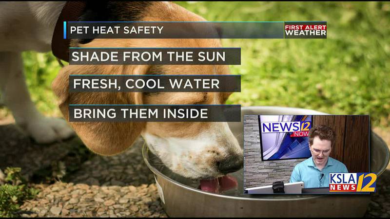 As temps increase for the summer, it's important to keep some safety tips in mind.
